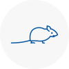 Mice Exterminators In Clacton